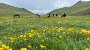 Trekking hiking to Song-Kul lake, Kyrgyzstan